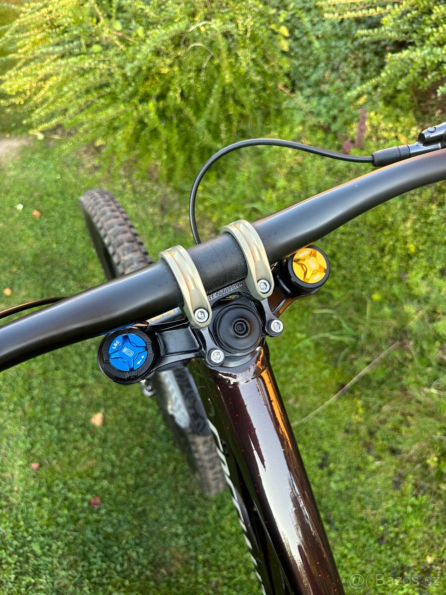 Specialized Demo race - 4