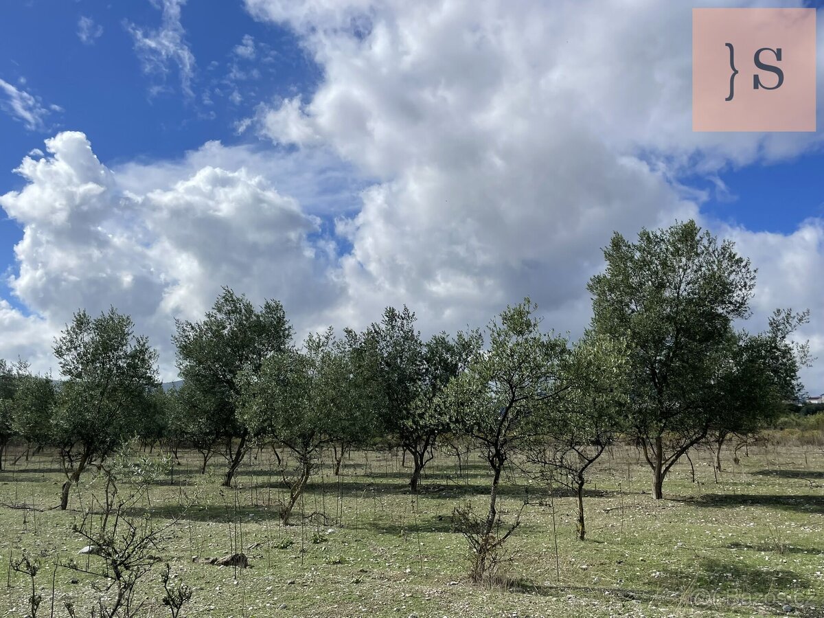 Prodej, pozemek, 4 000 m, , , Česko - 4