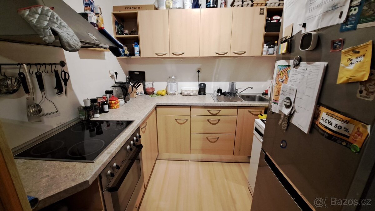 Pronájem v klidné lokalitě - 4