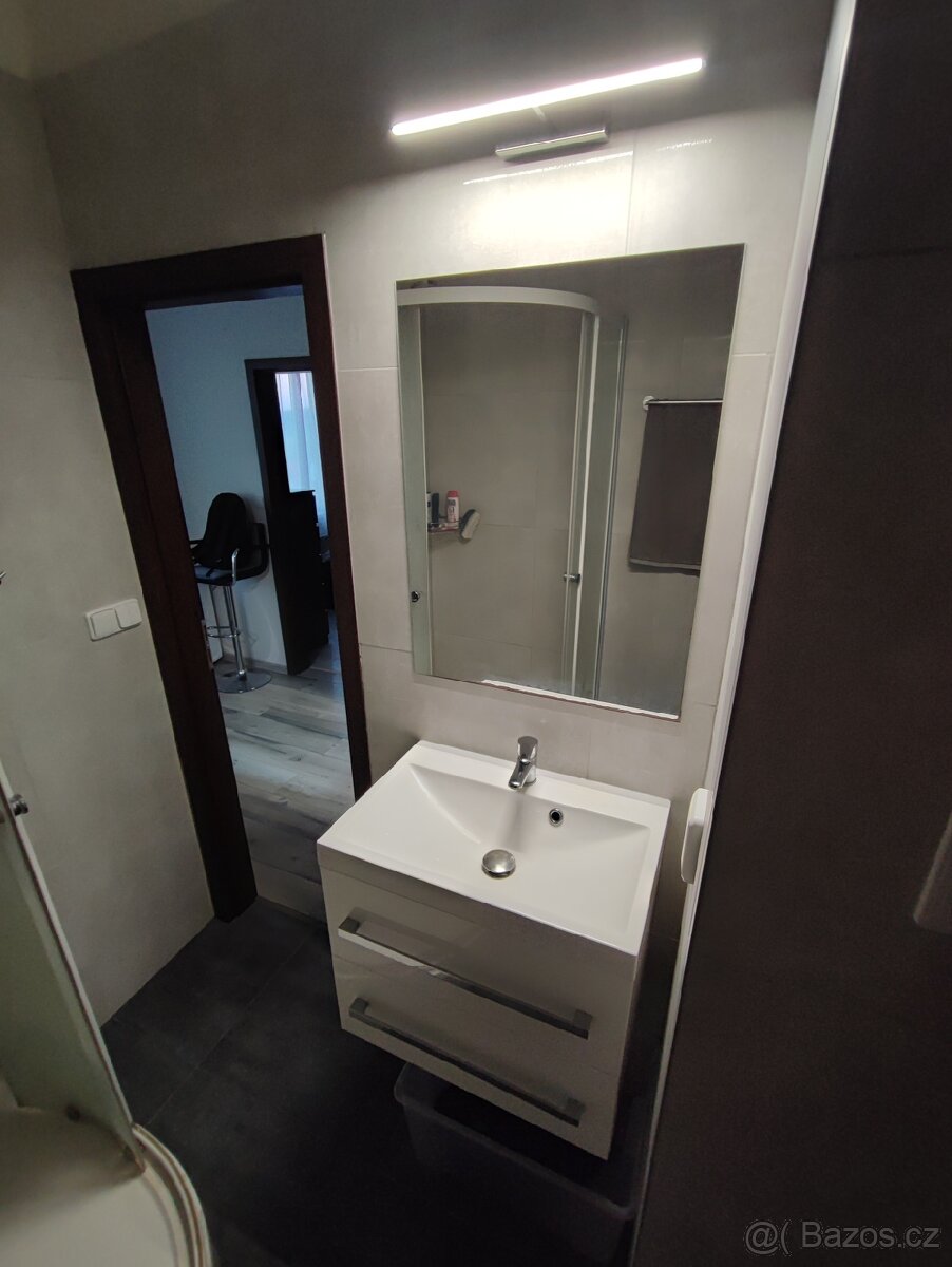 Prodám byt 1+1, 30,50m2 v obci Práče - 4