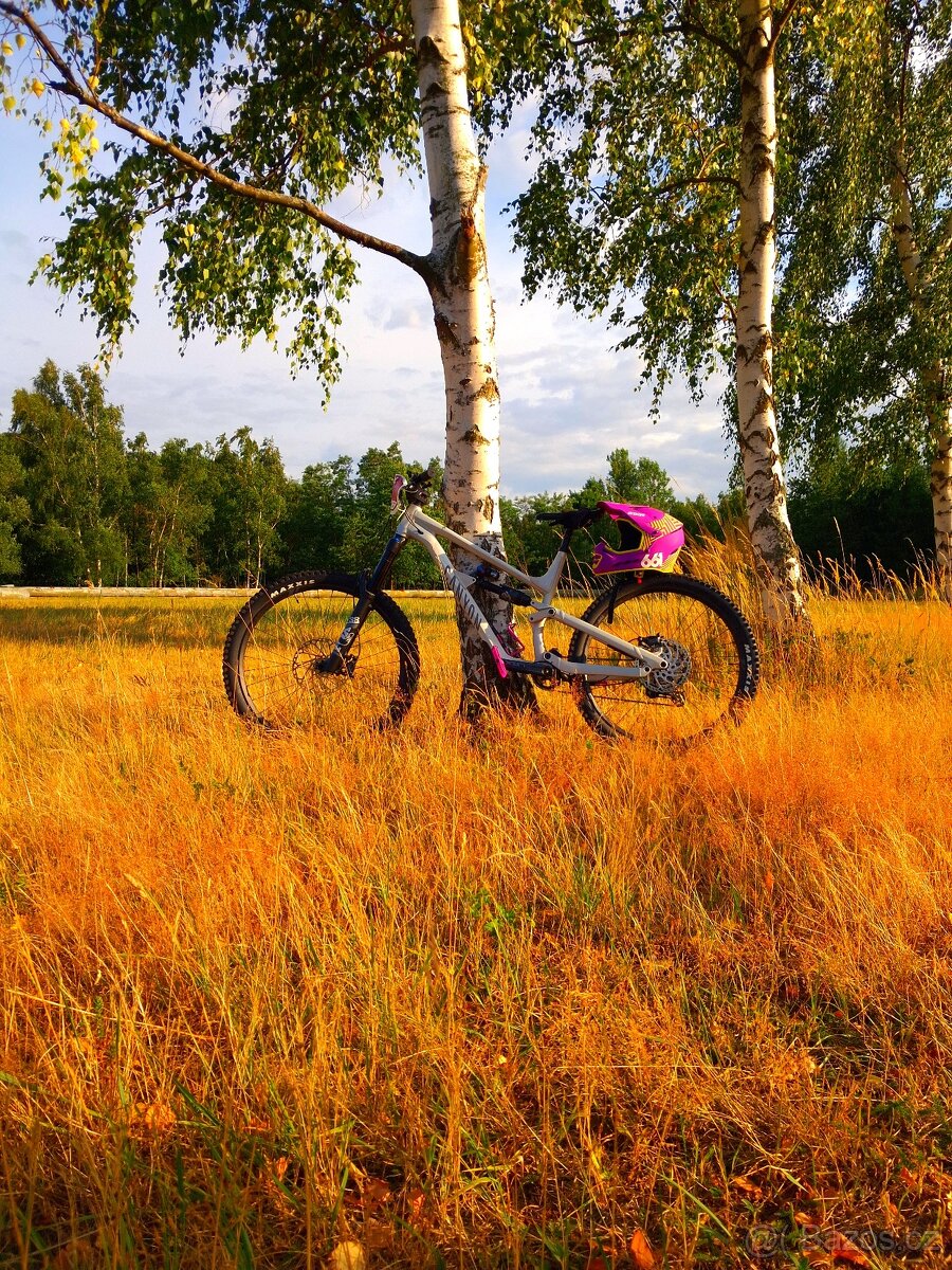 Prodám Canyon Torque Mullet AL 7 (XL) – téměř nové, FOX 38 + - 4