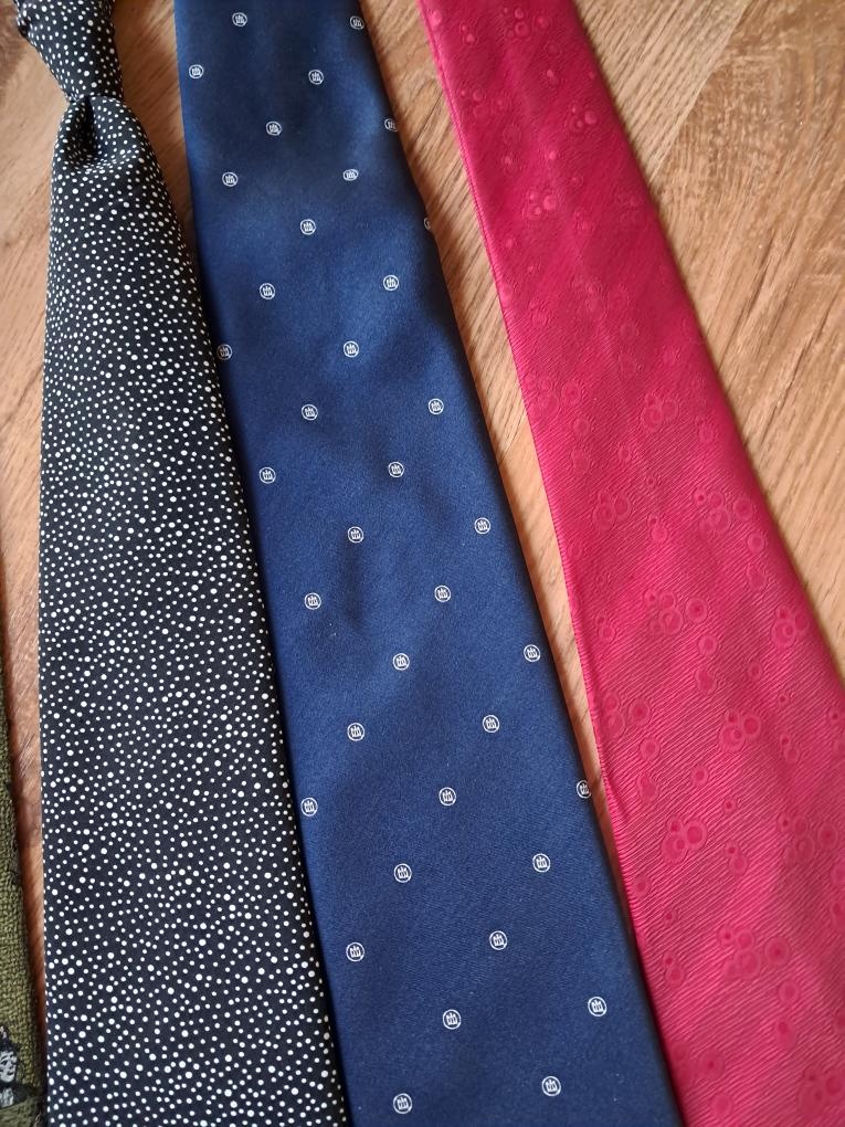 Pánské společenské kravaty - 4