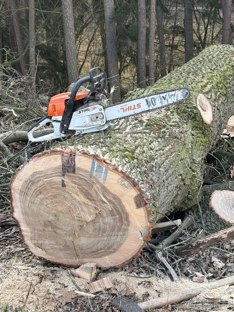 Fošny dubové 60mm - 4