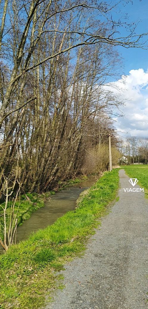 Pole 2 299 m², Podíl 38 % o výměře 862 m² - 4