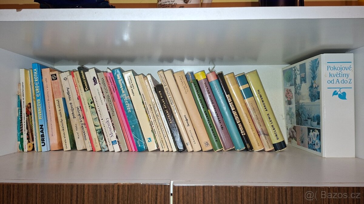 250 knih za symbolickou cenu - 4