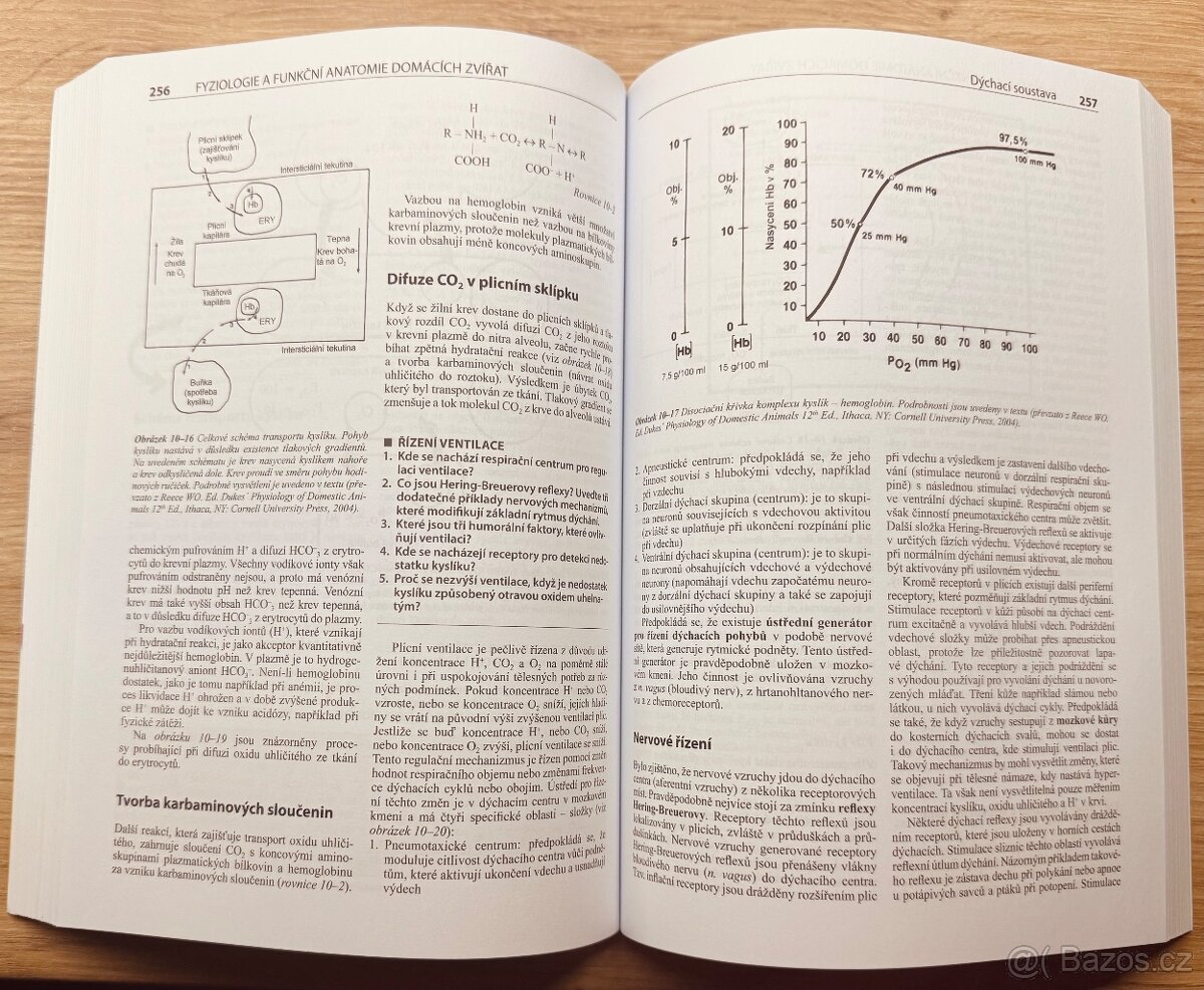 FYZIOLOGIE fyziologie a funkční anatomie - 4