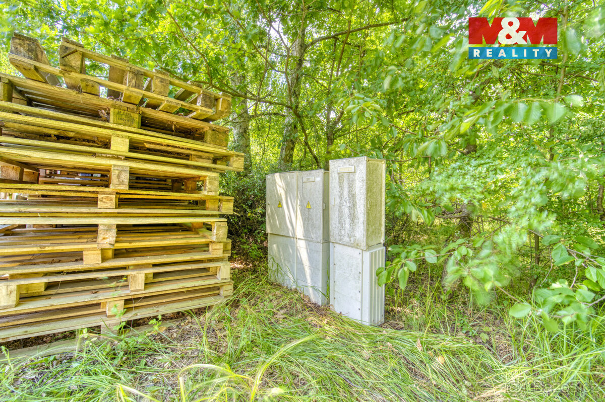 Prodej ovocného sadu, 1697 m², Kunějovice - 4