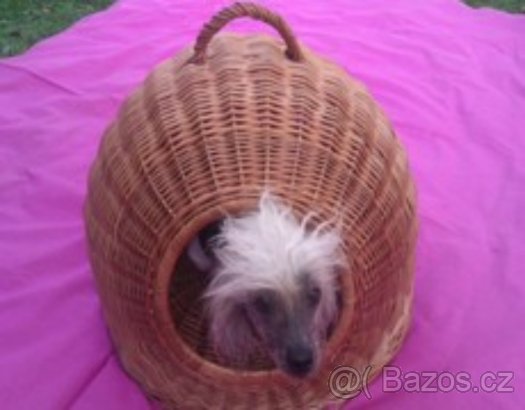 Výprodej kukaní,pelechy,terarium - 4