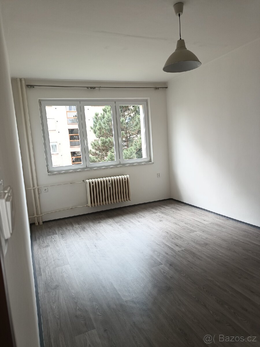 Pronájem bytu 2+1 - 4