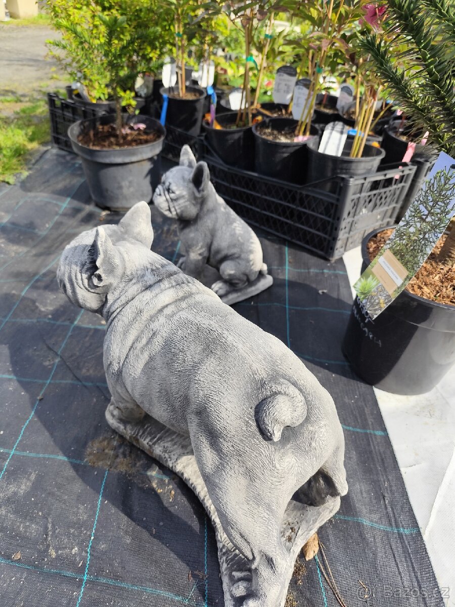 Socha buldok velký malý - 4