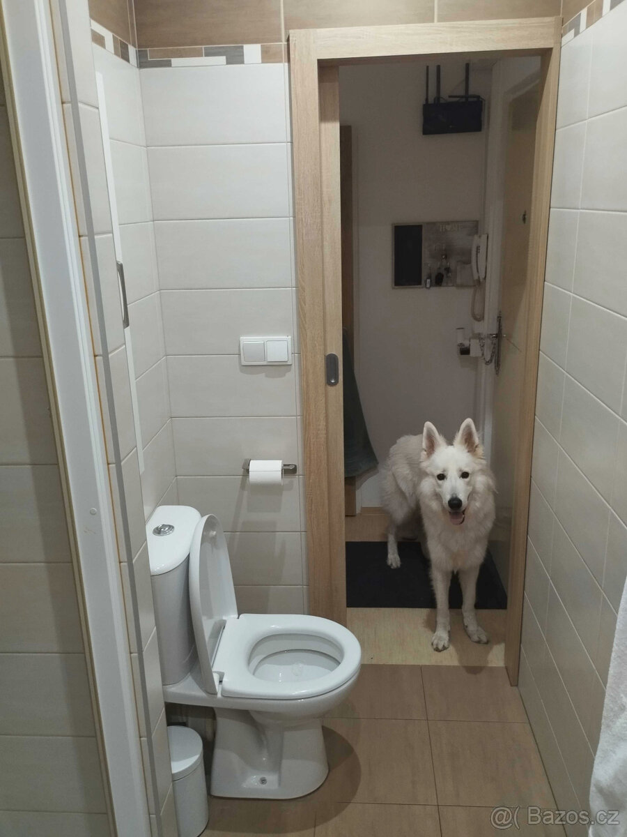 Prodej bytu 2+1 70 m² Hradec Králové, Milady Horákové - 4