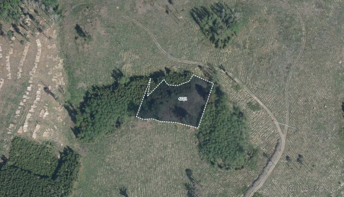 Zemědělská půda, prodej, Hořice, Pelhřimov - 4