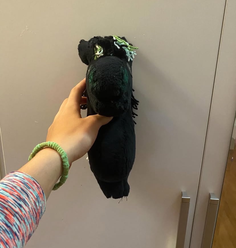 Hobby Horse na prodej - 4