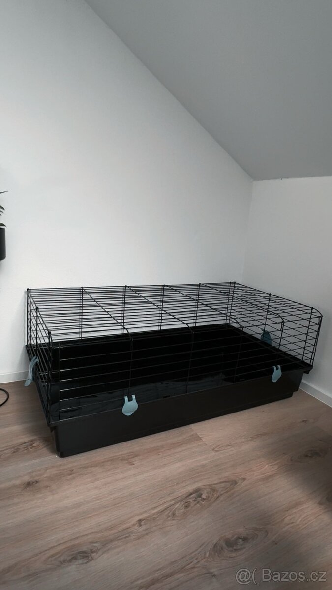 Zakrslý králíček - 4