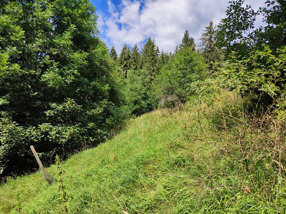 pronajmu zahradu - 4