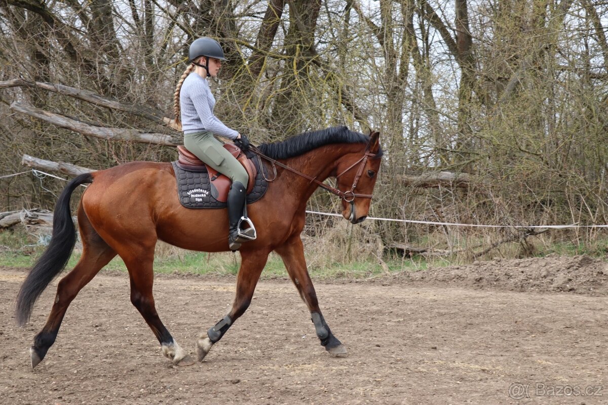 Dámský jemný koník - 4