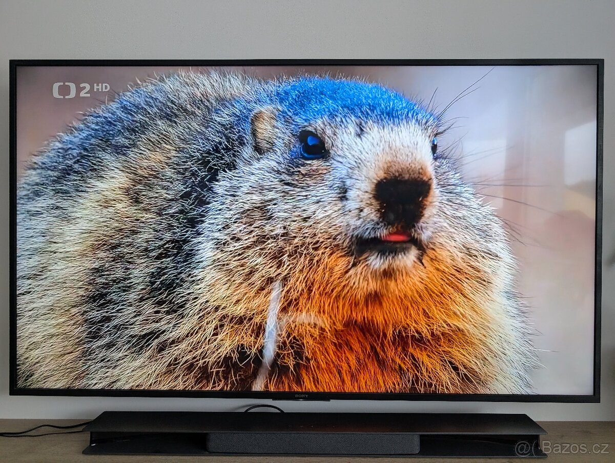 SLEVA - Sony Bravia KD‑65XG8196 – 65″ 4K UHD Smart (Android) - 4