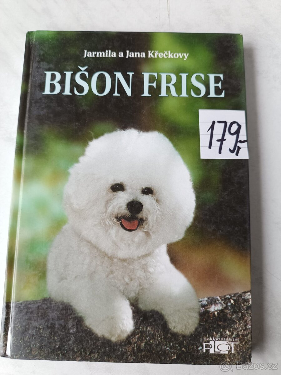 Afghánský chrt pudl westik bišon frise retrivr - 4