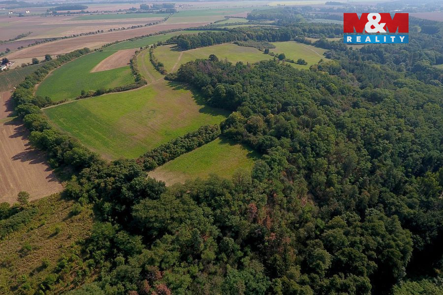 Prodej pole 1/3, 2320 m², Kouřim - 4