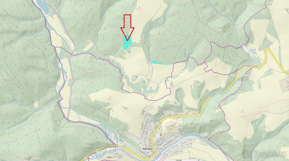 Prodej, les, 11901m2, Drozdov - 4