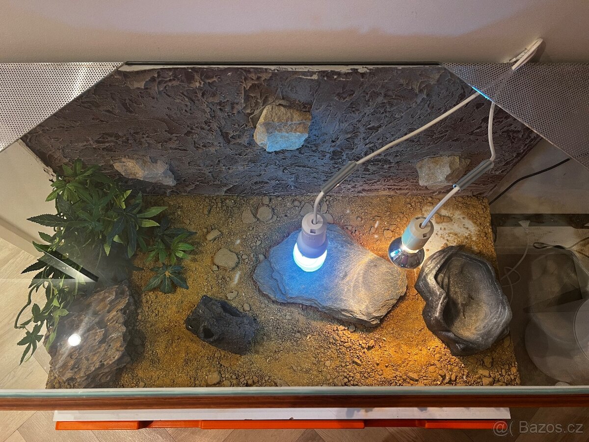 Terárium pro agamu s vybavením - 4