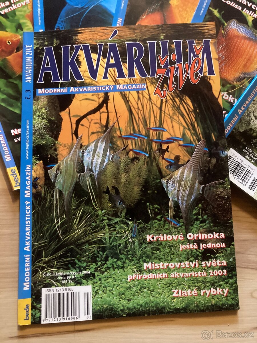 Akvárium živě - 4