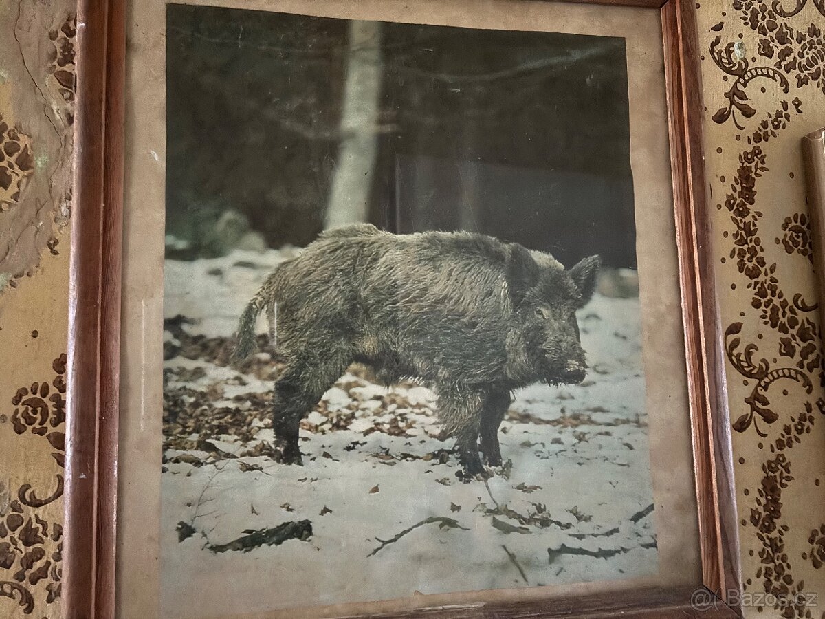 Zasklené obrázky - 4