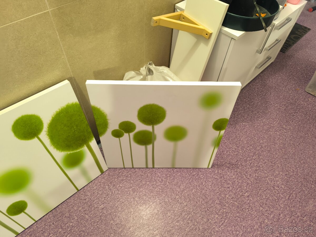 Troj - obraz ( sada ) - 4