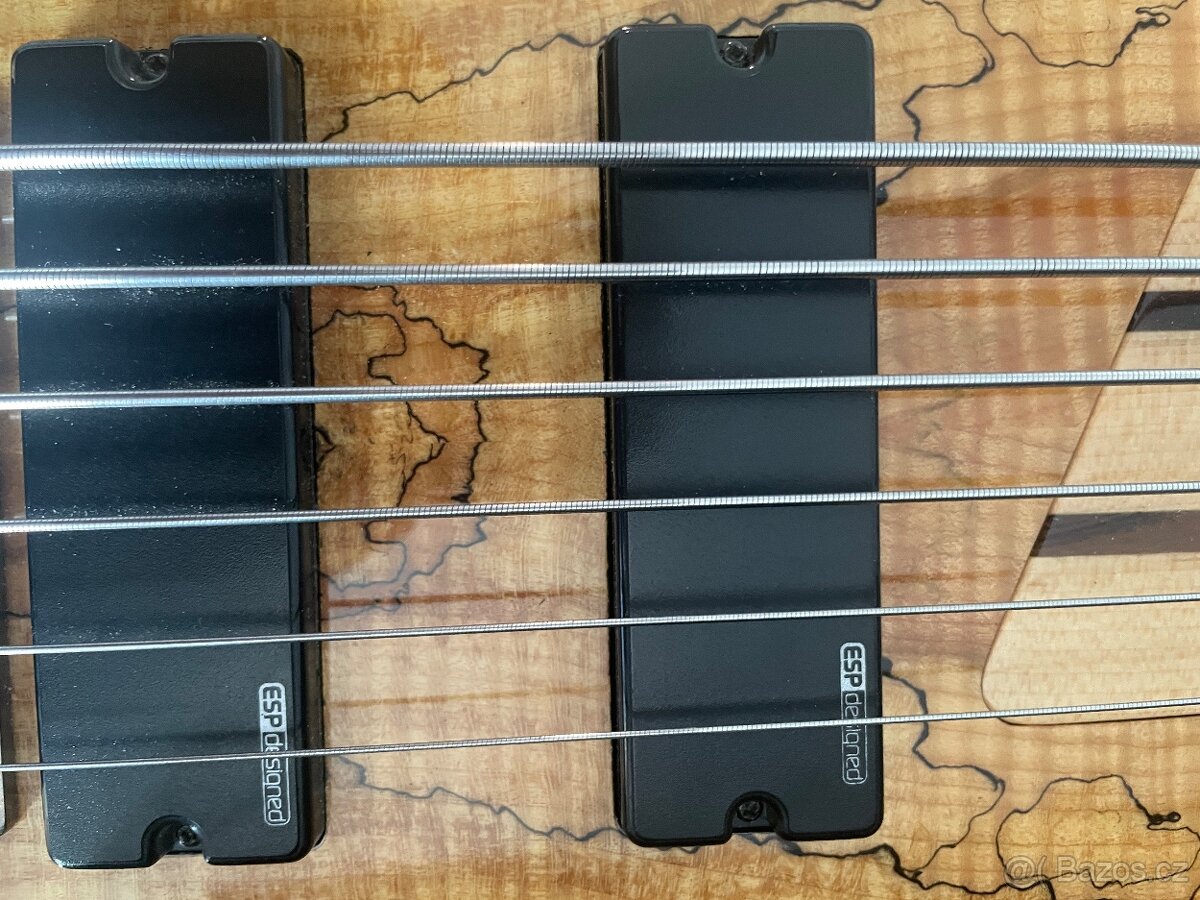 baskytara esp ltd 6 struna fretless - 4