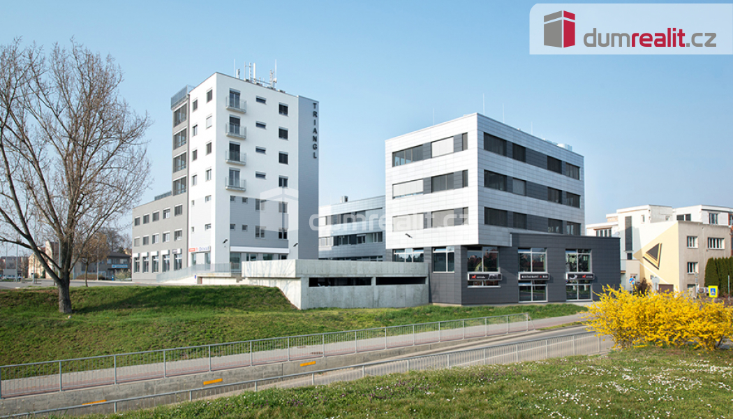 Pronájem kanceláře v budově VTP Triangl, 27 m2 - 4