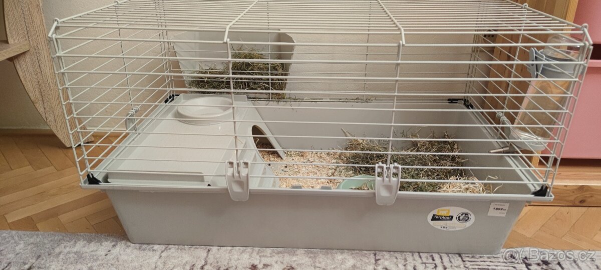 Morčátko + klec s vybavenim - 4