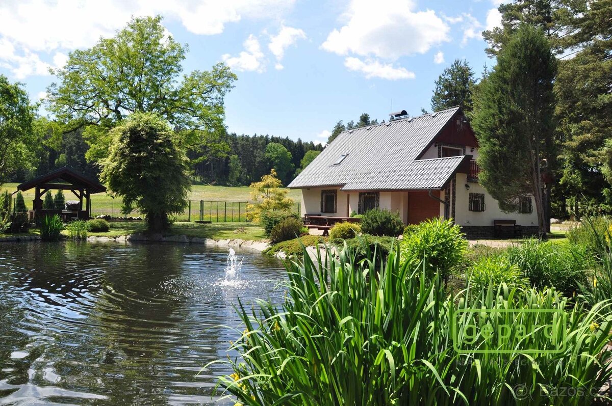 Prodej, Rodinný dům 222 m2, pozemek 7 330 m2, Dvory u Lažišť - 4