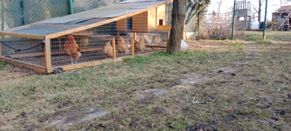 Kurník pro slepice - 4