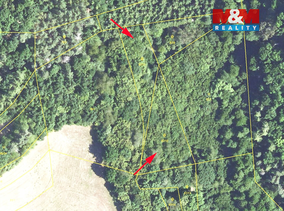 Prodej ostatní, 2544 m², Nezabudice - 4