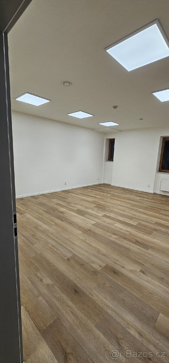 Pronajem kanceláře - 4