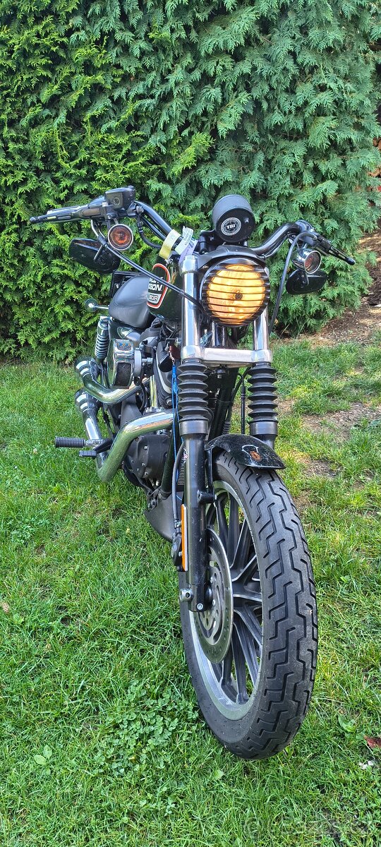 Harley Davidson 883R - 4