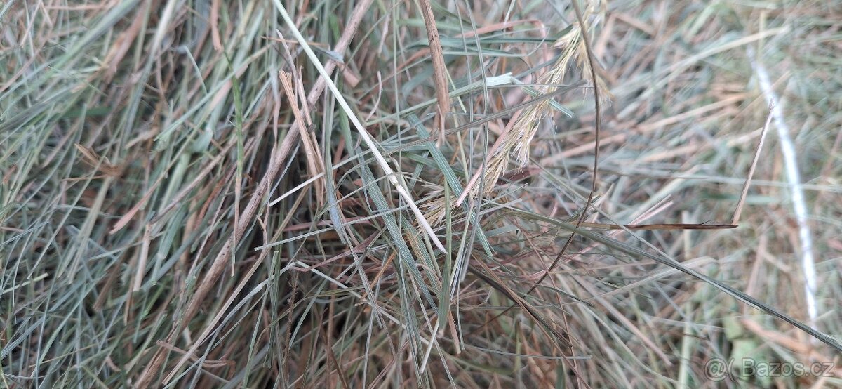 Seno - malé balíky - 4