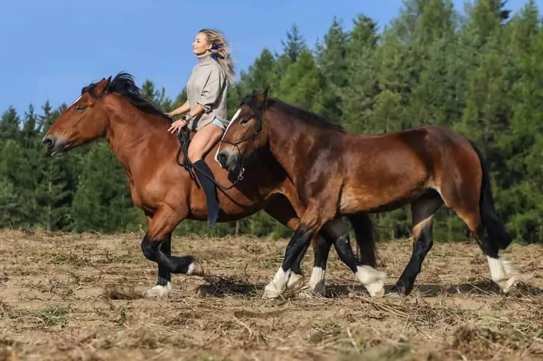 Částečný pronájem - 4