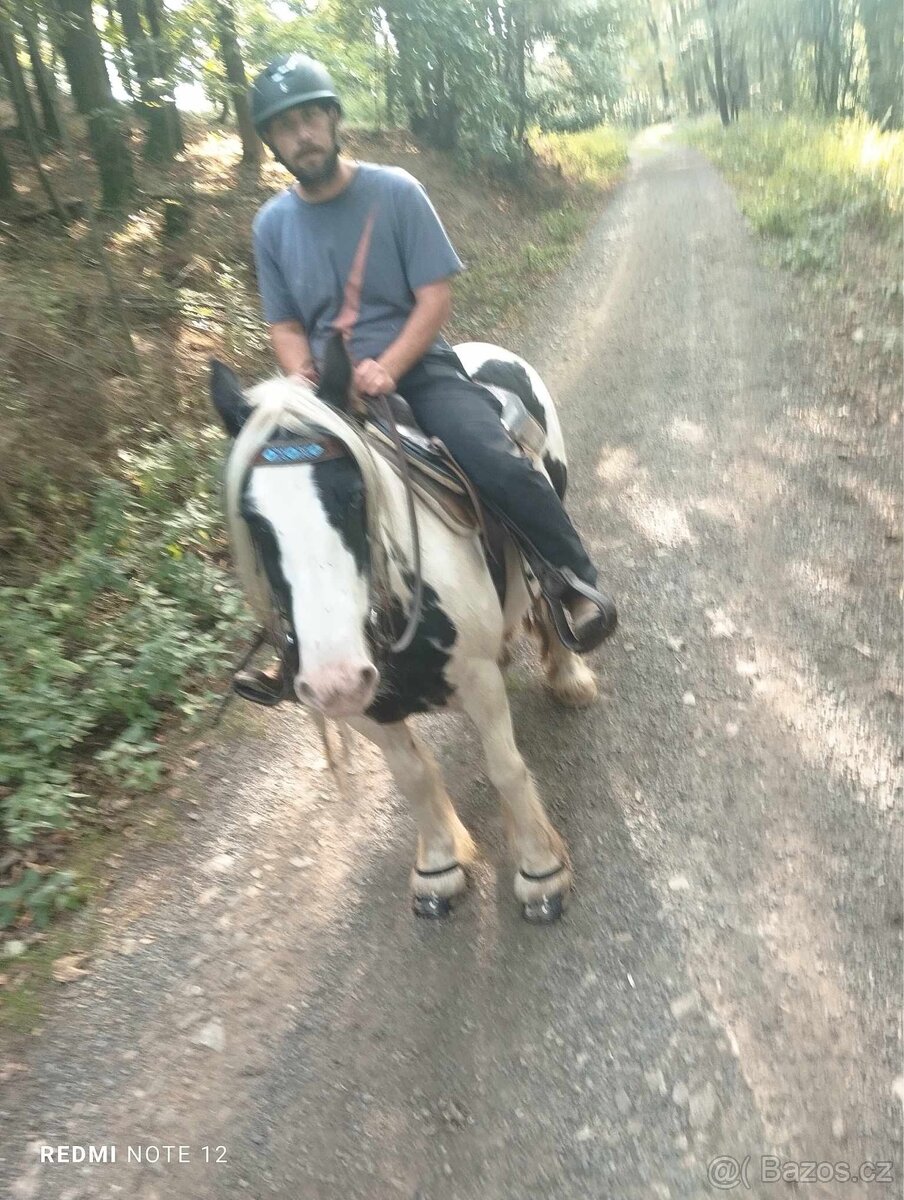 Pasování botek pro koně: - 4