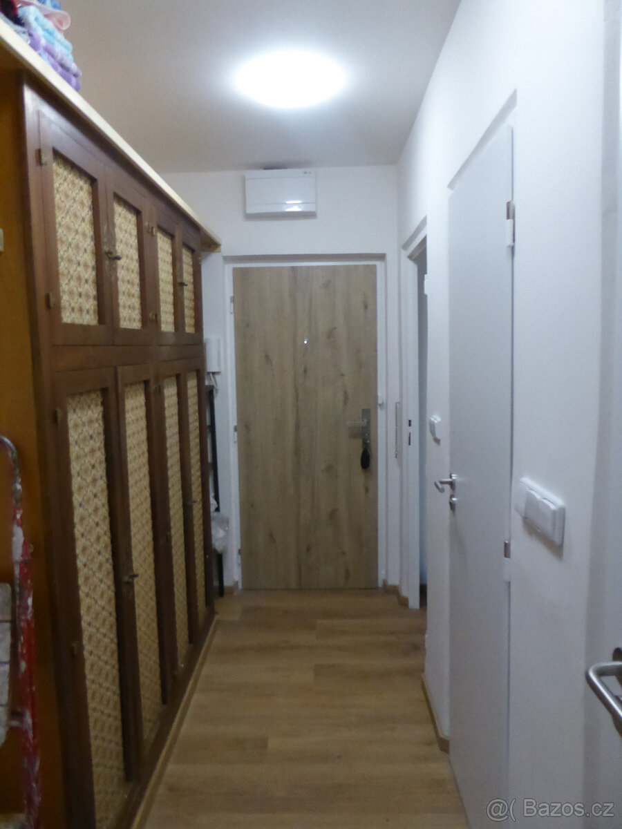 Pronájem bytu Vídeňská - 4