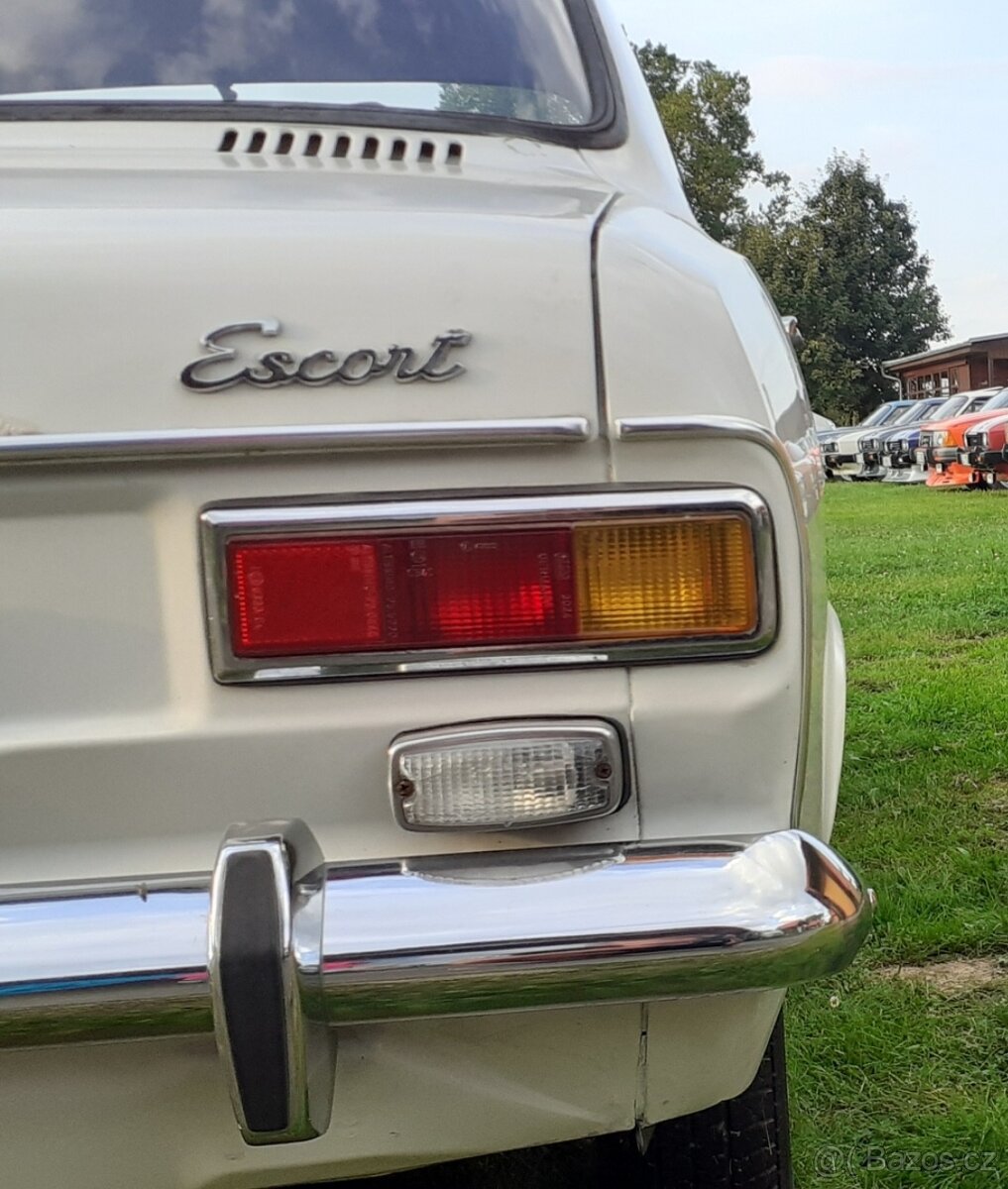 Ford Escort Mk1, Veterán, Psí kost - 4