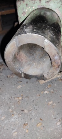 sustruh SU 50 - koník - 4