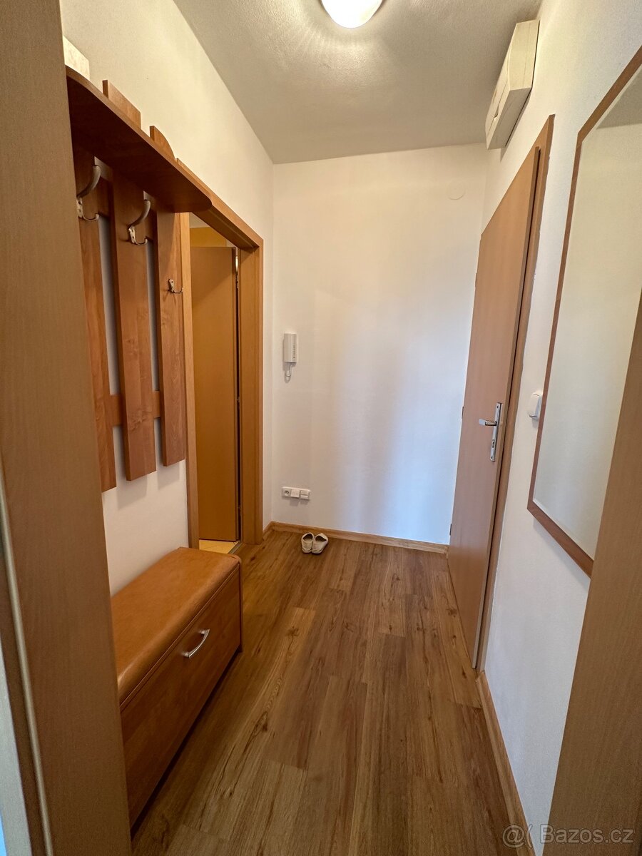 Velká Bíteš 1+kk - 4