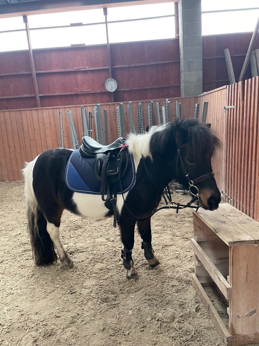 Pony do sportu - 4