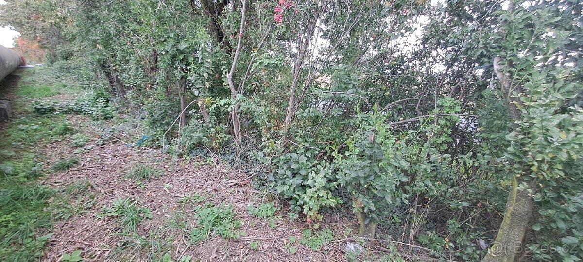 \Prodej pozemku u Hovorčovic - 4