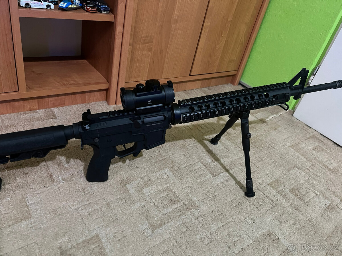 AR9 custom - 4