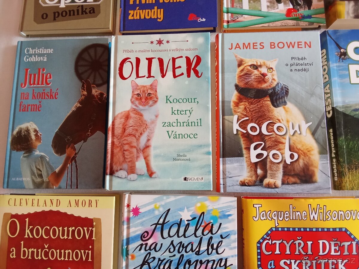 Knihy pro dívky - 4