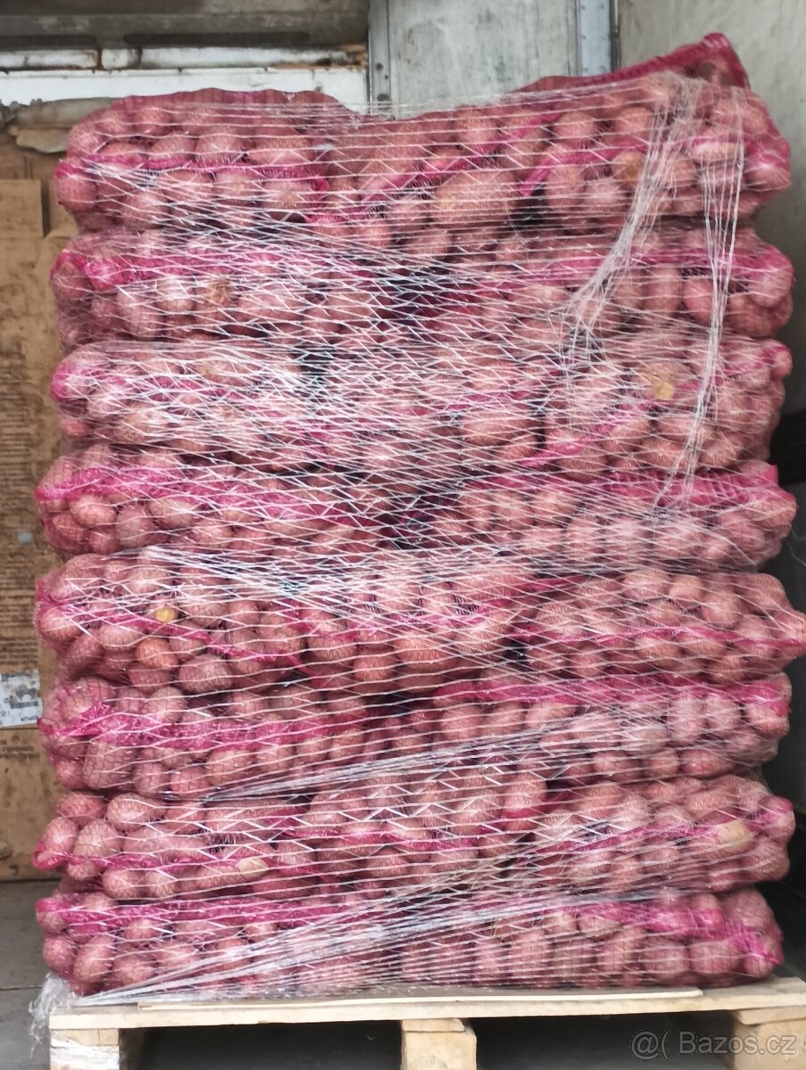 Brambory na uskladnění - 4