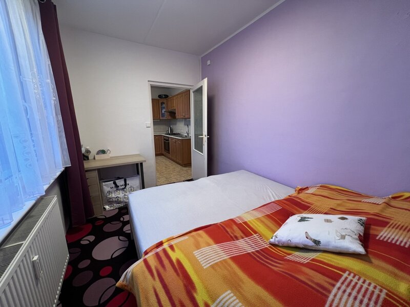 Prodej bytu 3+1, francouzské okno, 64m2, Pardubice-Dubina - 4