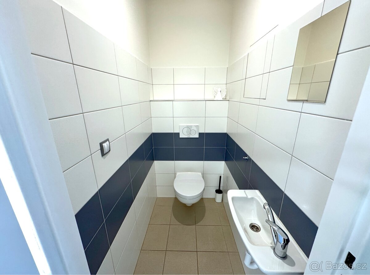 100m2 Komerční prostor, obchod, kancelář, byt, ordinace - 4